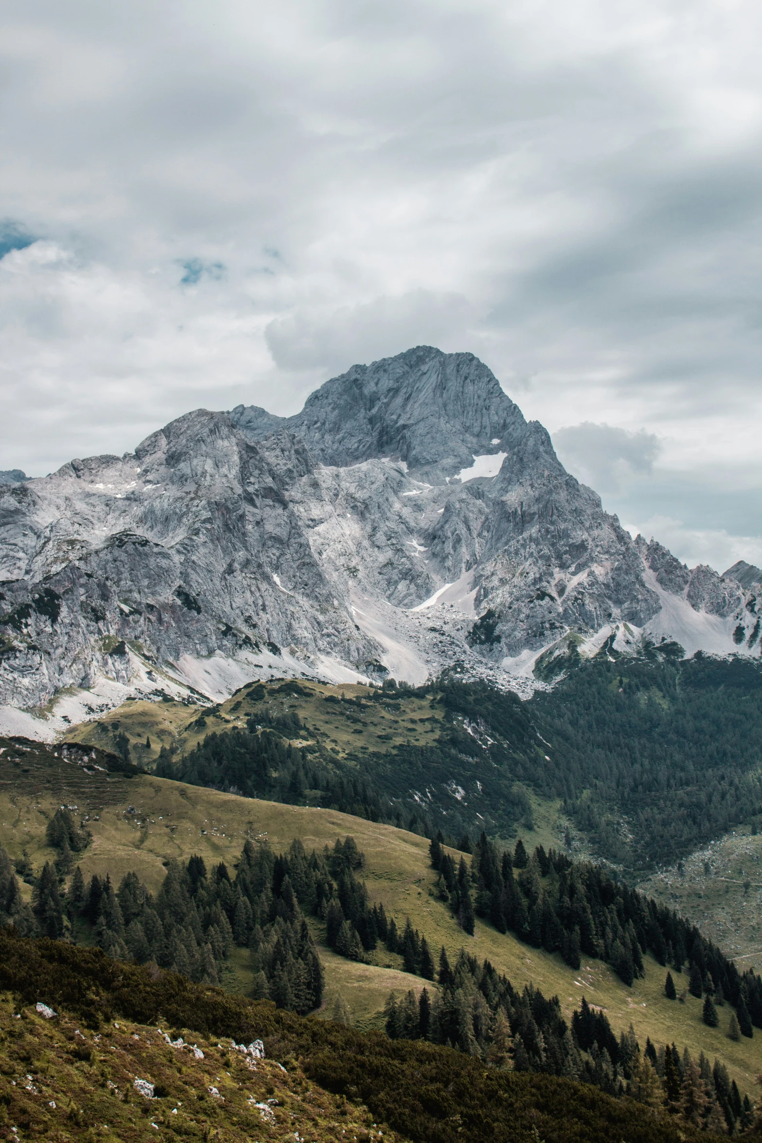 a lush green hillside covered in snow next to tall mountains