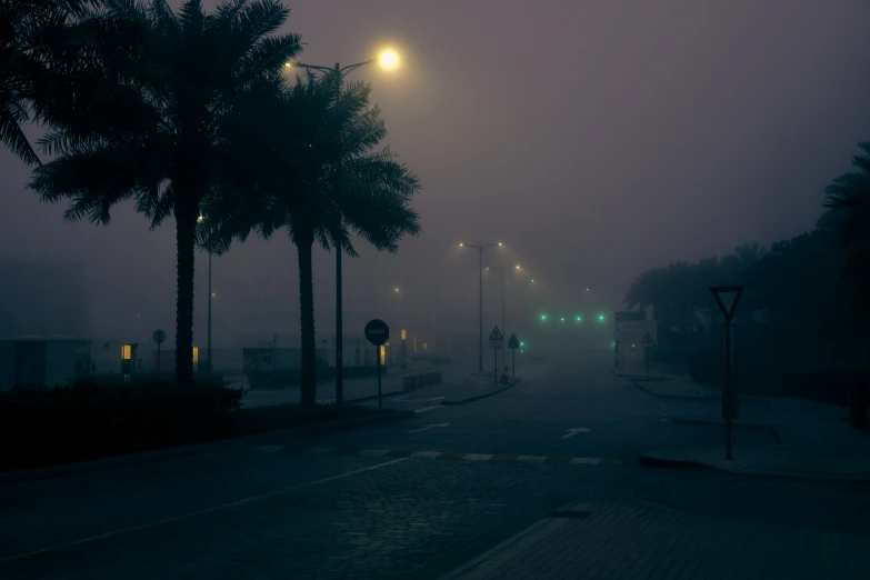 a foggy street at night, with lights and palm trees