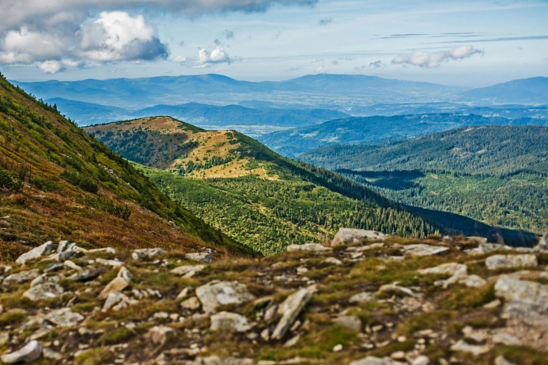 an area that has some rocks on it