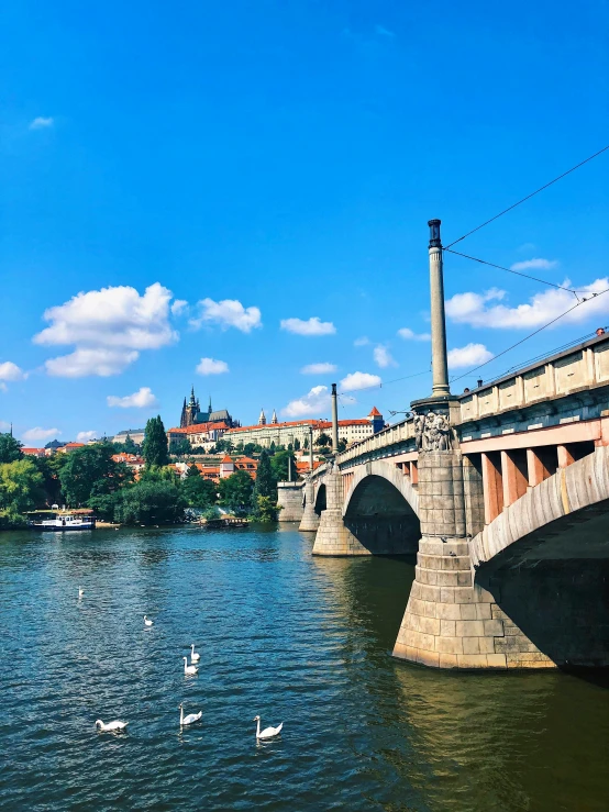 a bridge that goes over a river next to another river with swans on it