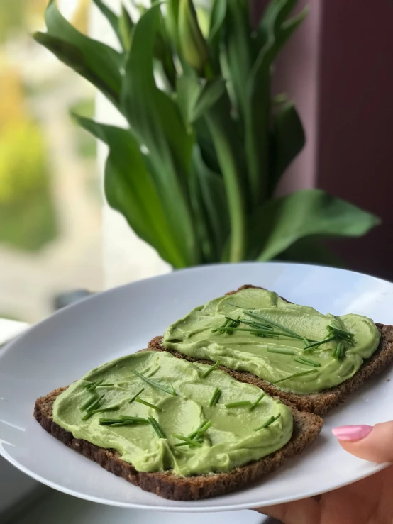 someone holding up a piece of bread with guacamole on it