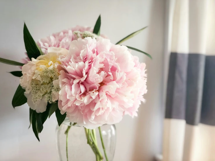 a vase filled with pink flowers near a window