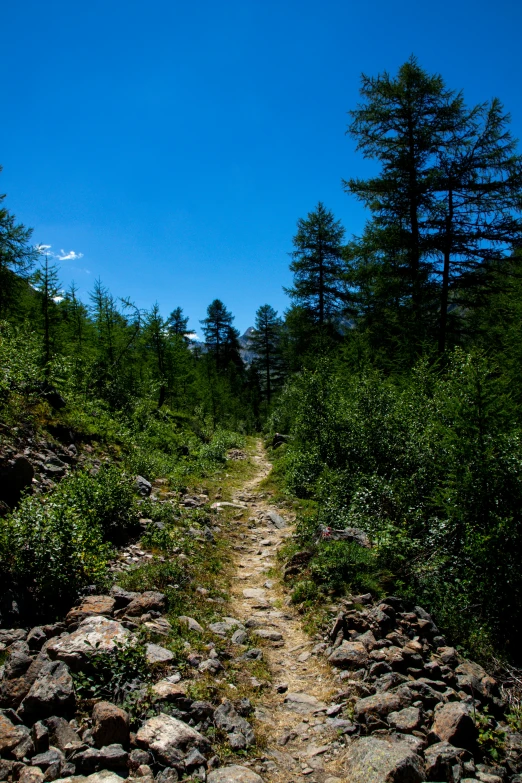 the pathway is surrounded by some very big rocks