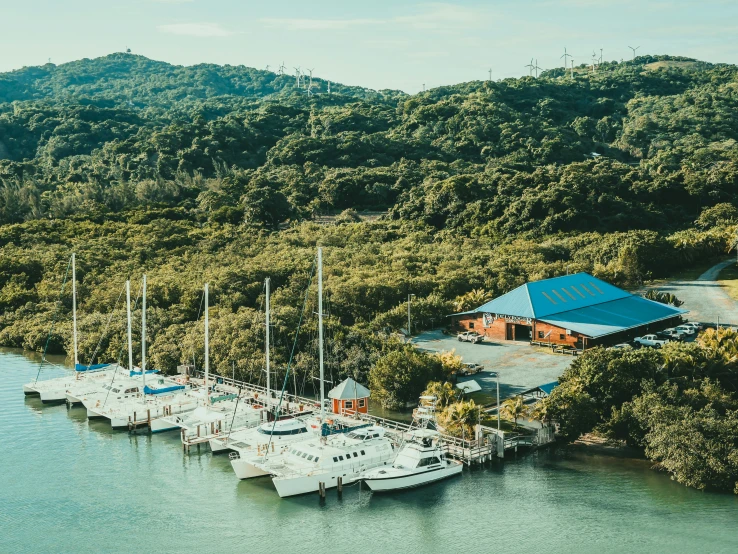 a group of boats docked at a pier next to green trees