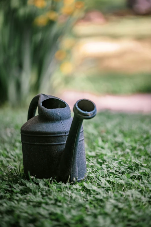 a small cast iron watering can in the grass