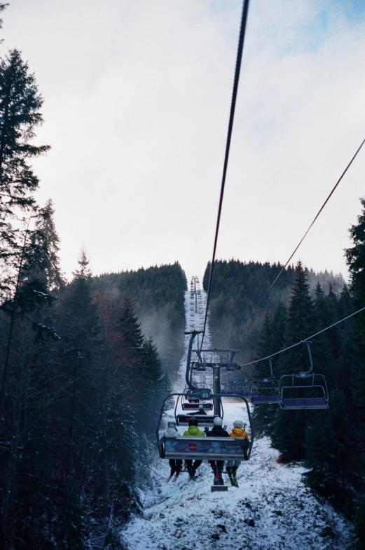 snow covered forest and ski lift with skiers on them