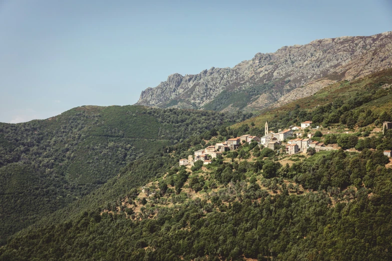 a large hillside with several houses on it