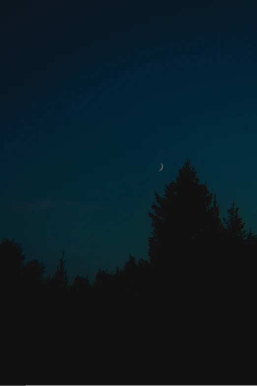 the full moon shines brightly in front of some trees