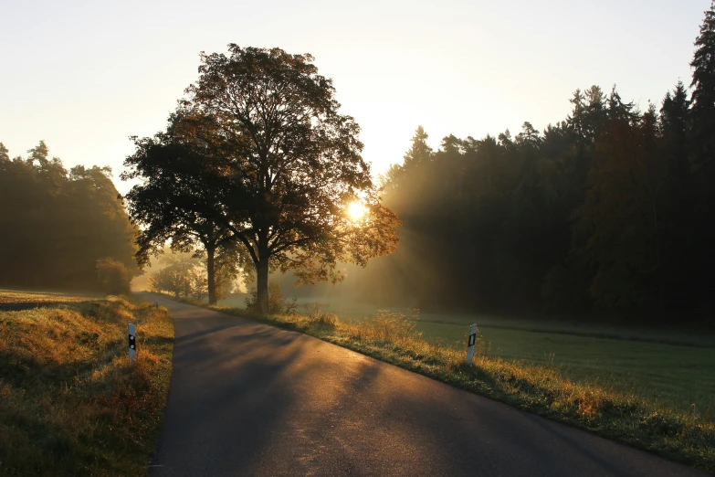 two people are standing at the end of a road