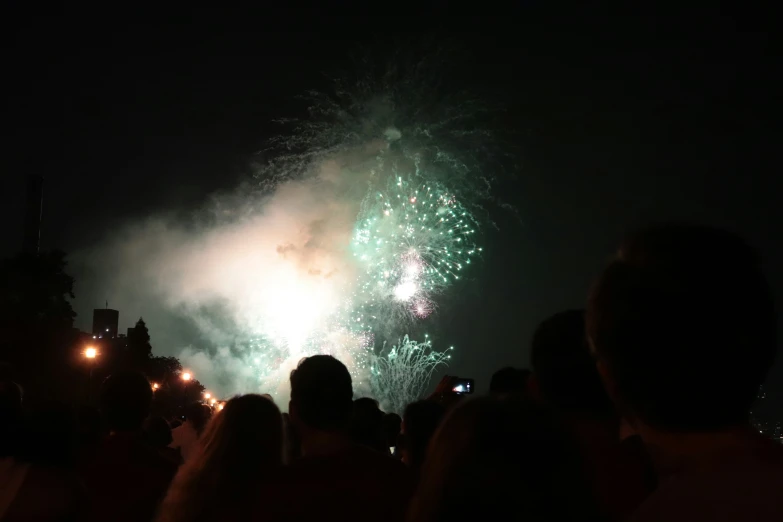 a large crowd watches a fireworks show