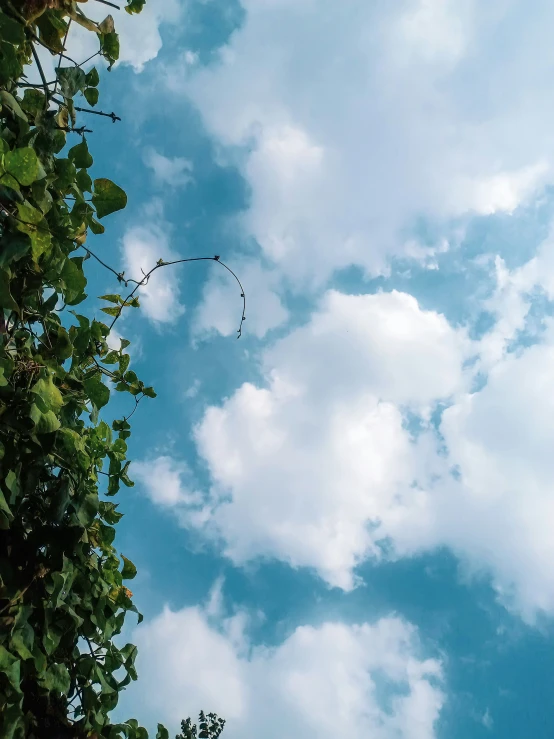 a kite flying high in the cloudy sky