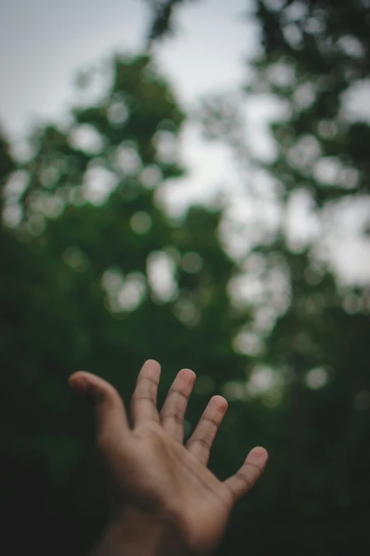 person holding a camera on their hand to take a picture