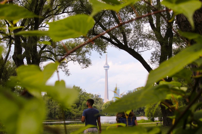 the people are in the park under some trees