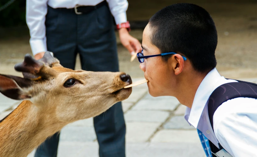 man licking a deer while standing on a street