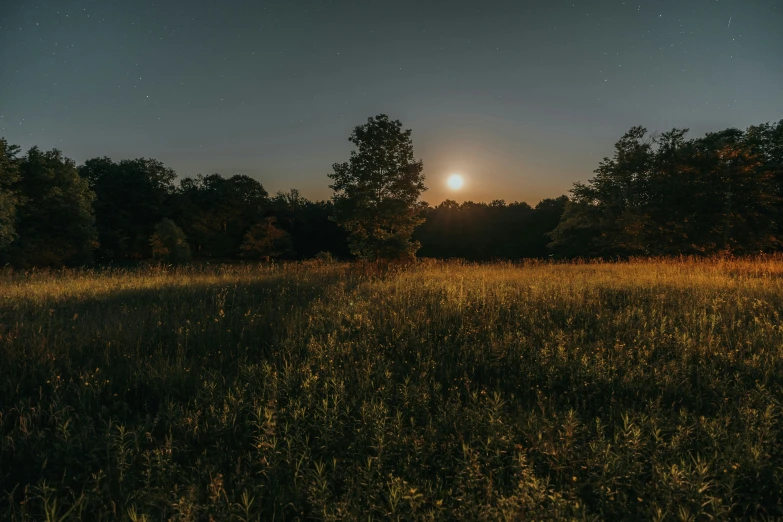 a field that has trees in the background and the moon in the sky