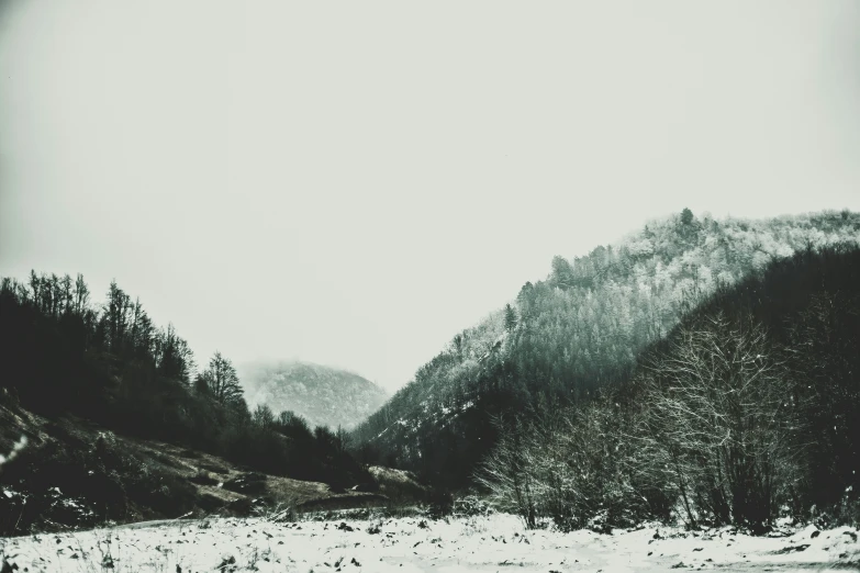 snow covered mountains and snowy field near a forest