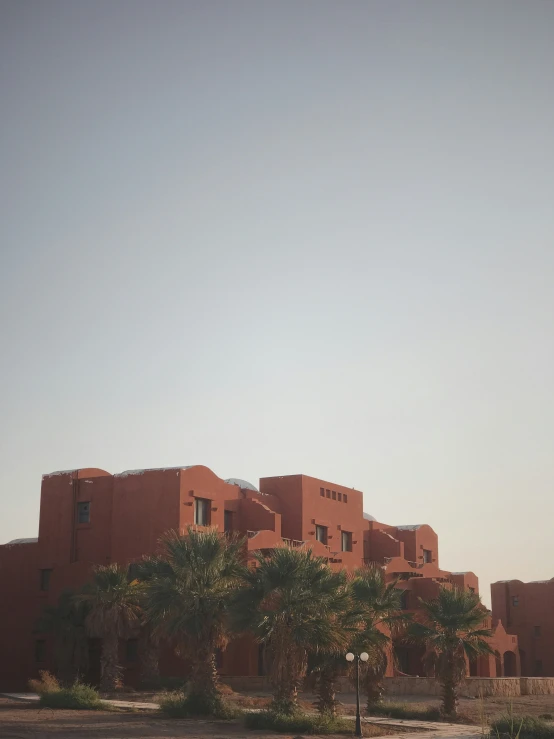 a building with many windows and palm trees