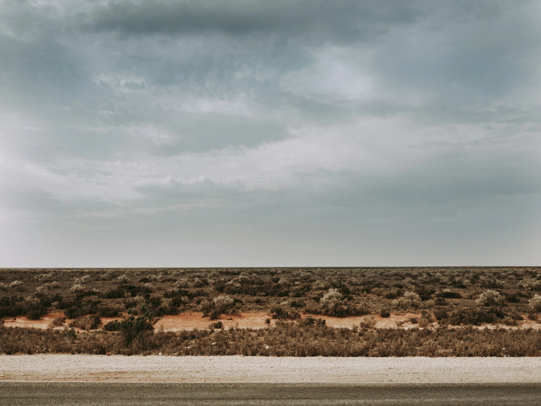 a field with no leaves and very dark clouds