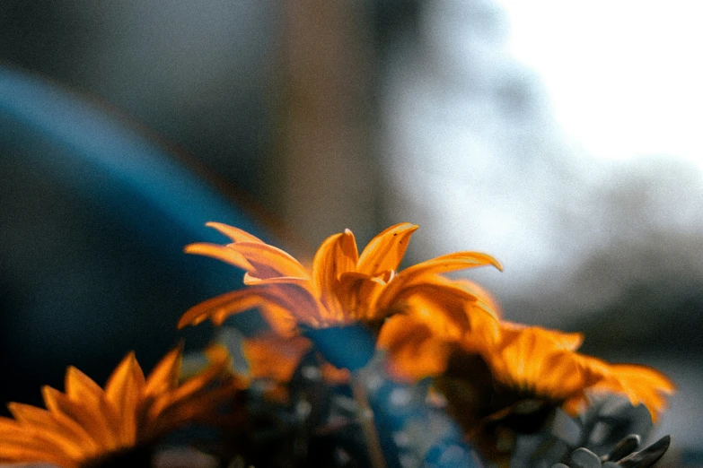 a group of sunflowers sitting in a bouquet on top of a table