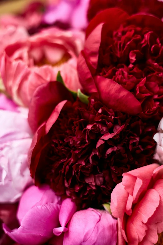 a close up view of flowers in a bouquet