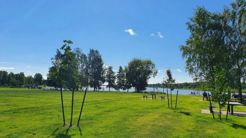 an empty park filled with lots of grass