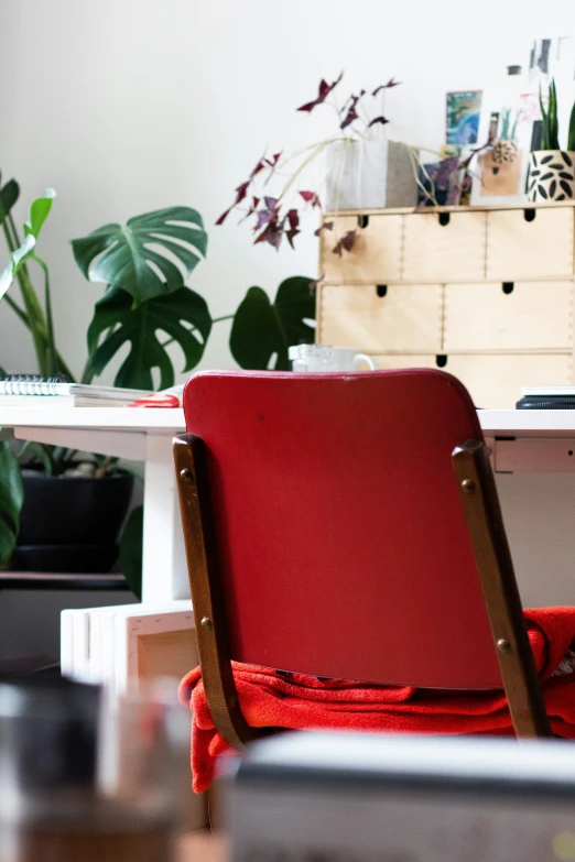 a chair and table with some plants in the background