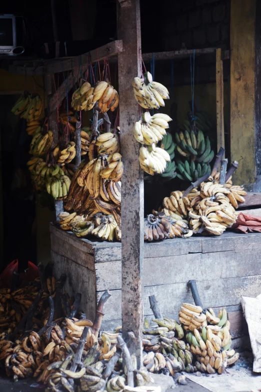 bunches of bananas are being sold in an outdoor market