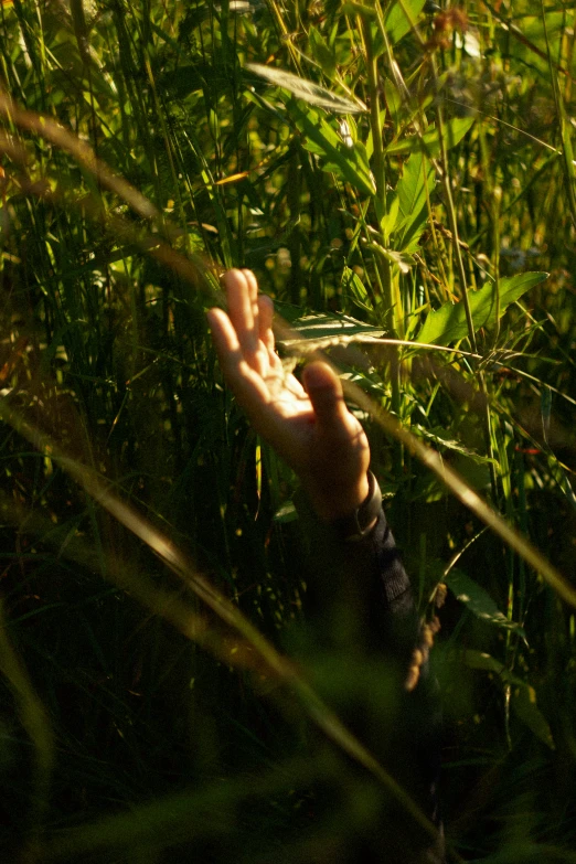 a hand reaching up out from the grass
