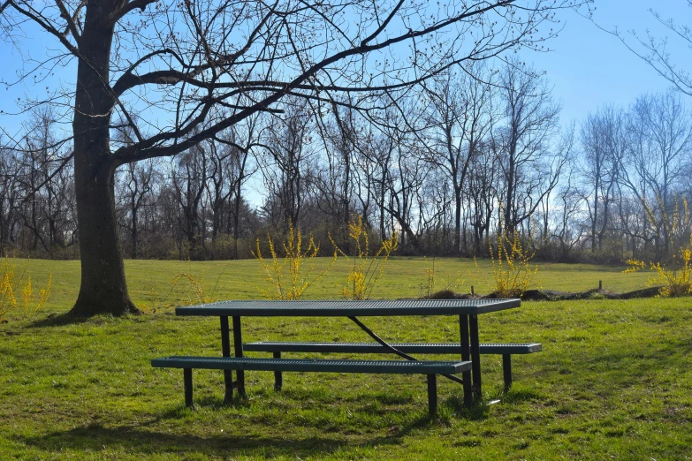 a bench sits in the middle of a field