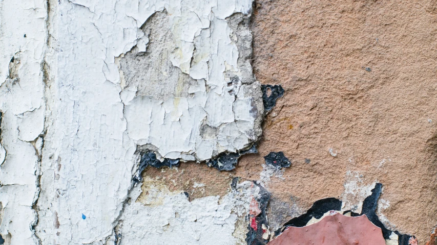 peeling paint in the color white, rust and red