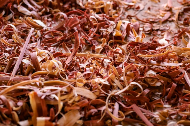 a closeup of shredded up cranberry petals