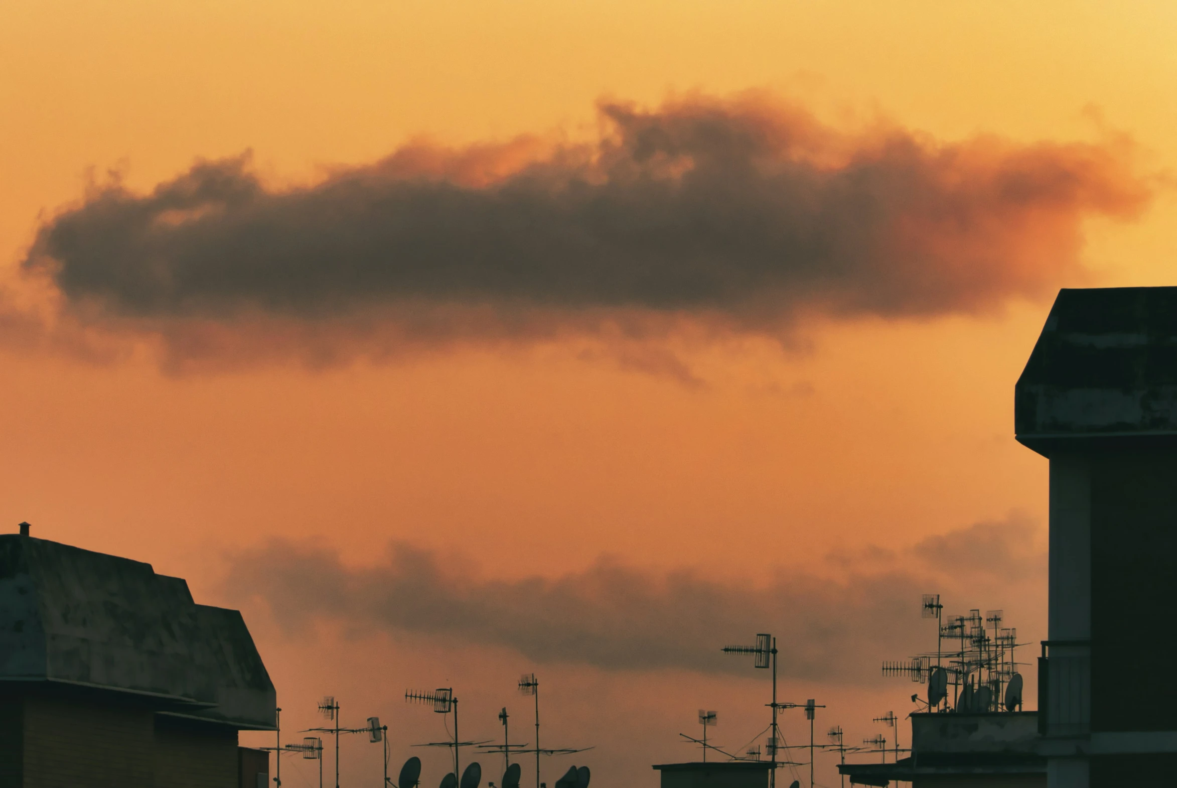 sunset with a view of several buildings and birds