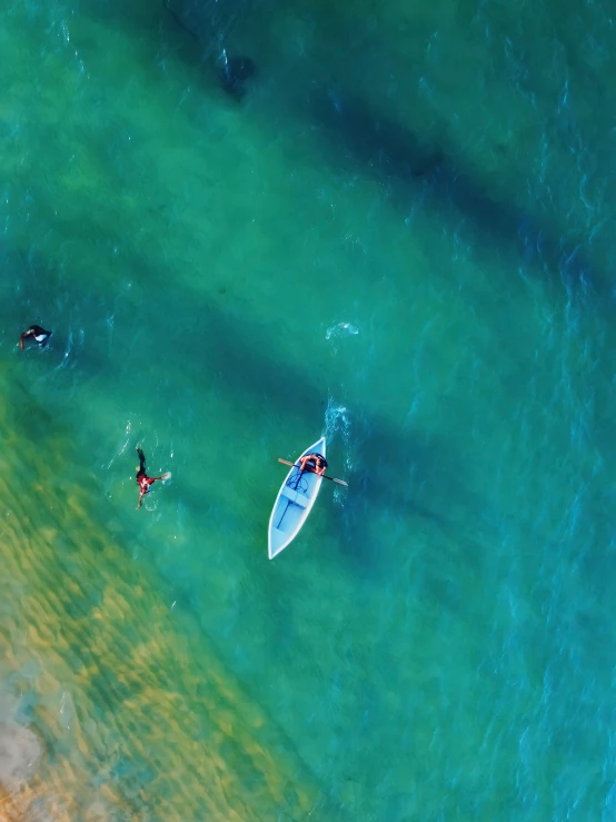 two people in kayaks in green water