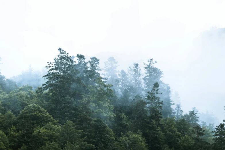 a plane flying through the clouds over some trees