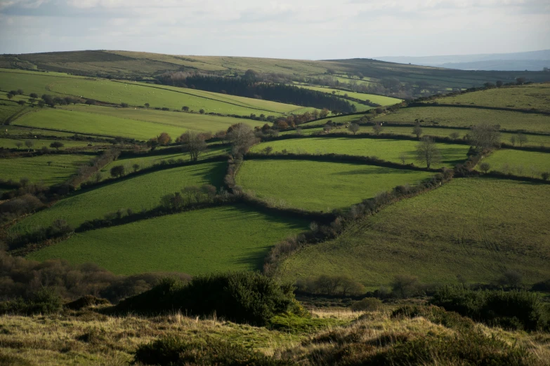 a couple of green hills with no trees