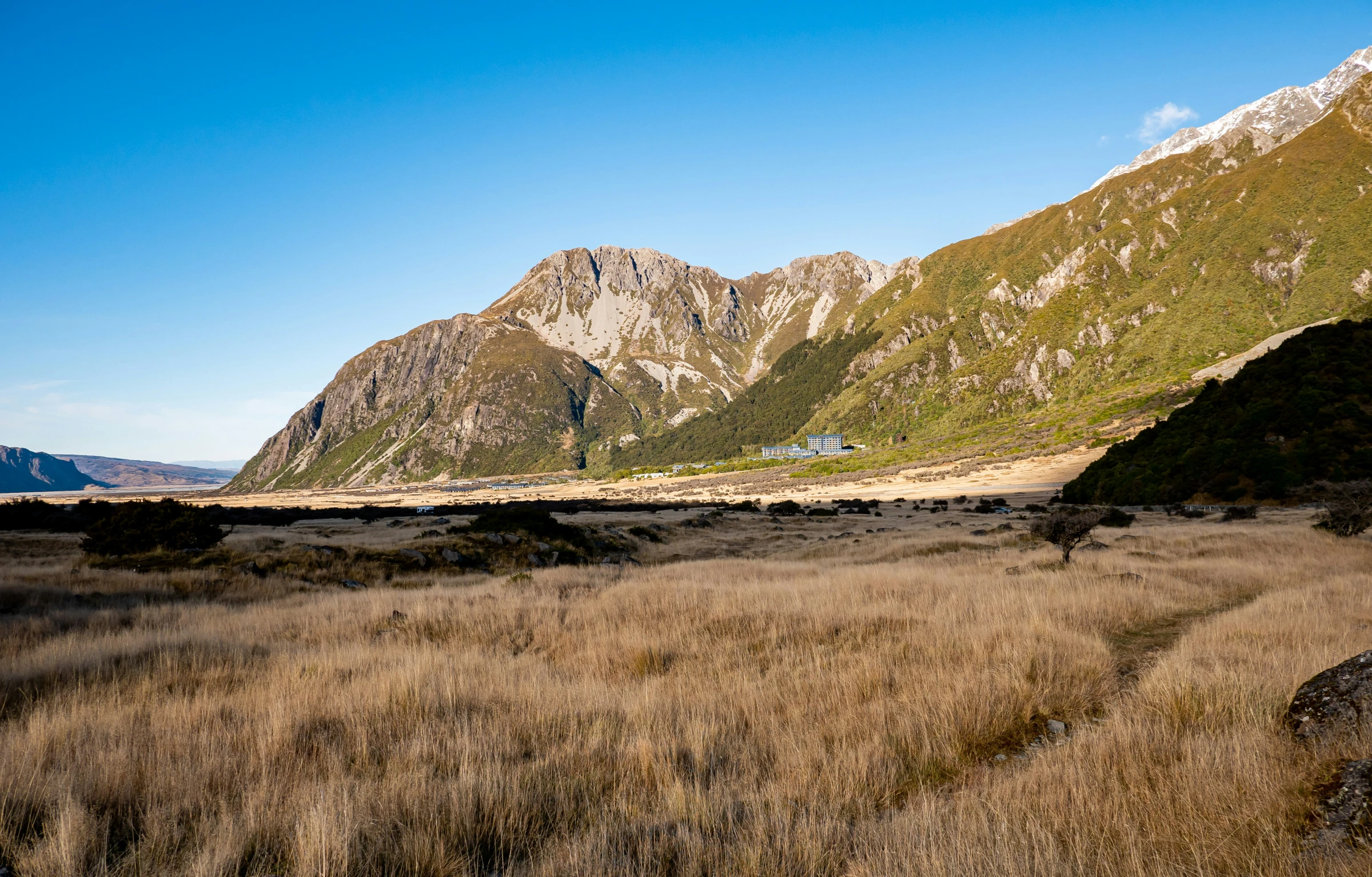 an empty grassy field next to a mountain