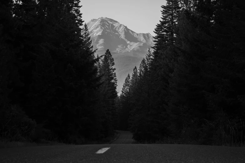 the sun shines on a wide pine tree - lined road in the distance, flanked by snowy mountains