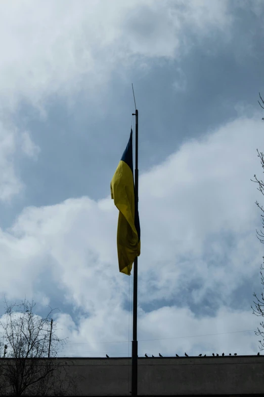 a flag with one blue and one yellow is standing near a building