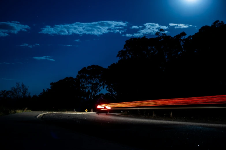 a car driving at night with trees lit up