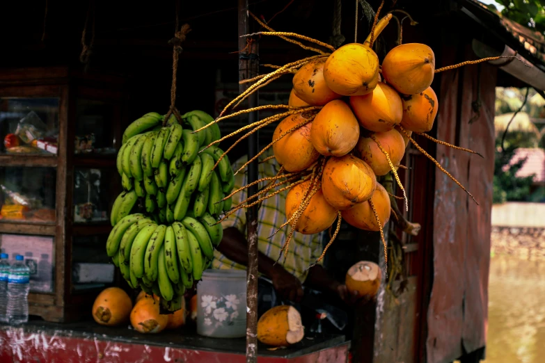 several bunches of green bananas and a large bunch of oranges on display