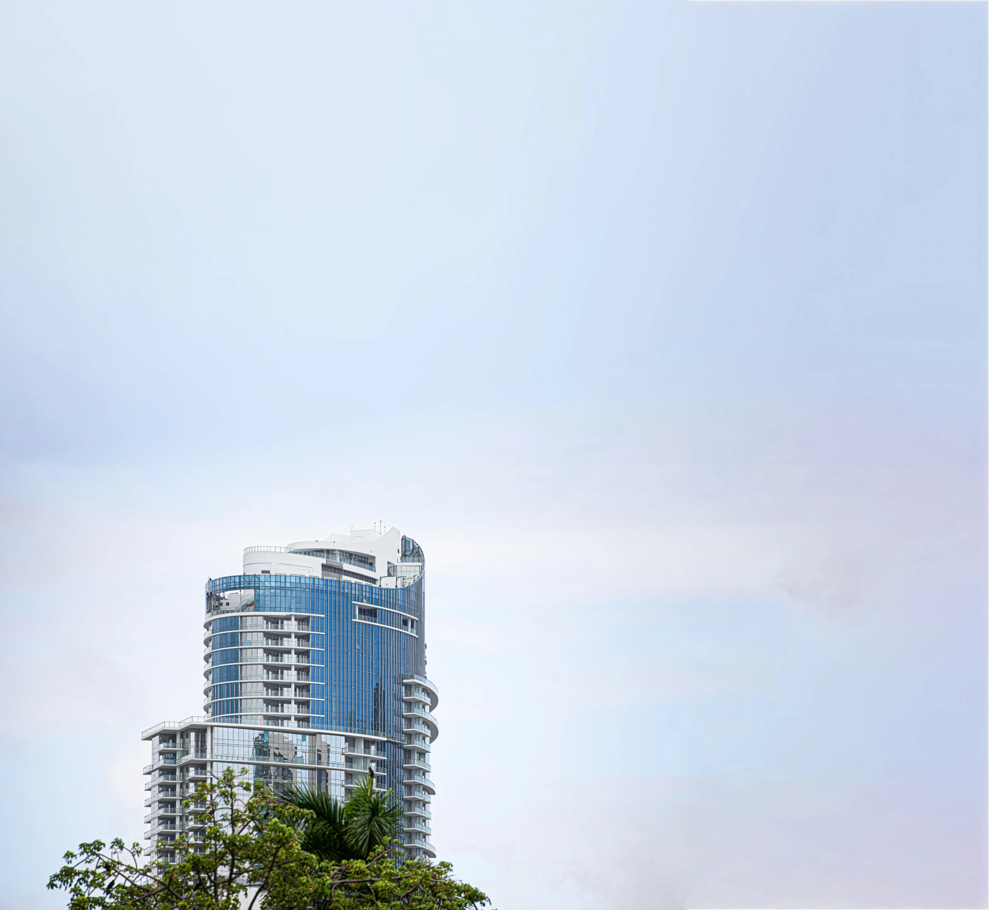 a view of the back of a tall building, it's blue windows and a tree in front