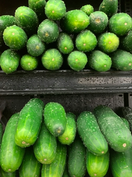a bunch of cucumbers are on display with wet tops