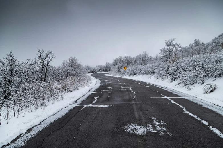 a road with white snow on the ground and trees