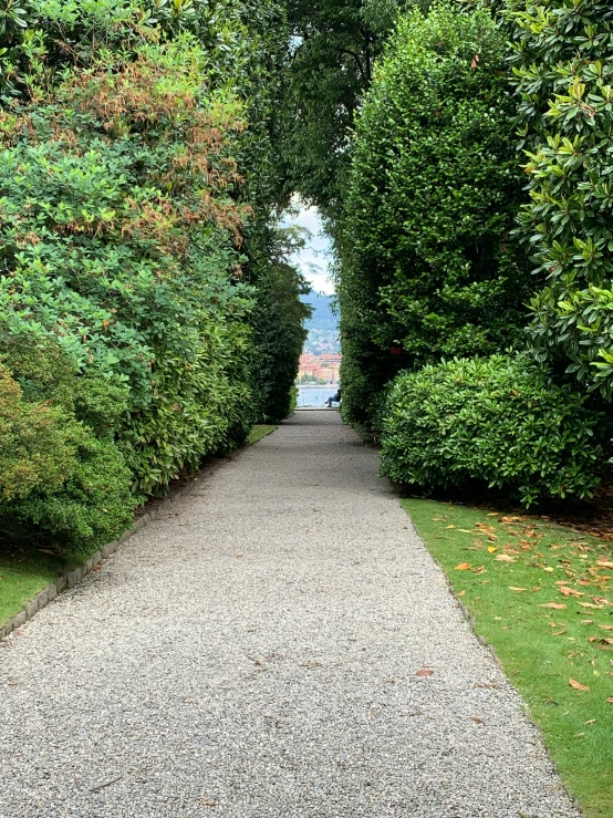 a pathway surrounded by trees with a stone pathway through them