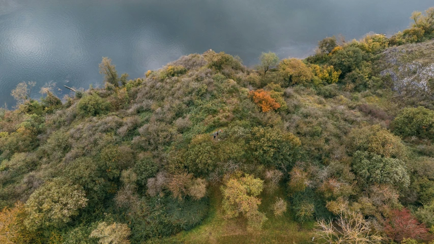 an aerial po of a landscape with trees and blue sky