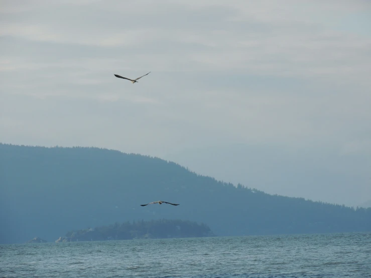 an eagle flying above a lake with two birds in flight