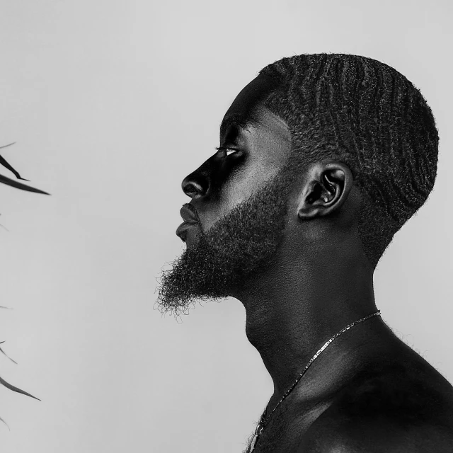 the silhouette of a man standing near a black bird