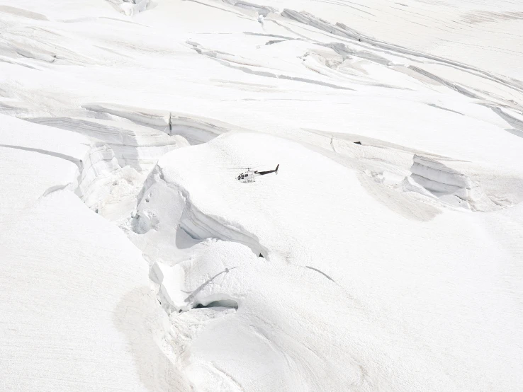 a bird flying over the top of snow covered ground