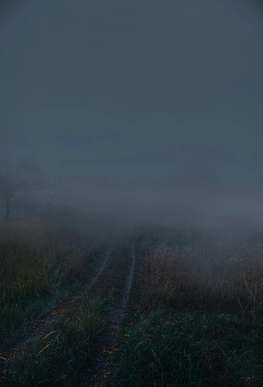 an empty road with no cars on a foggy day