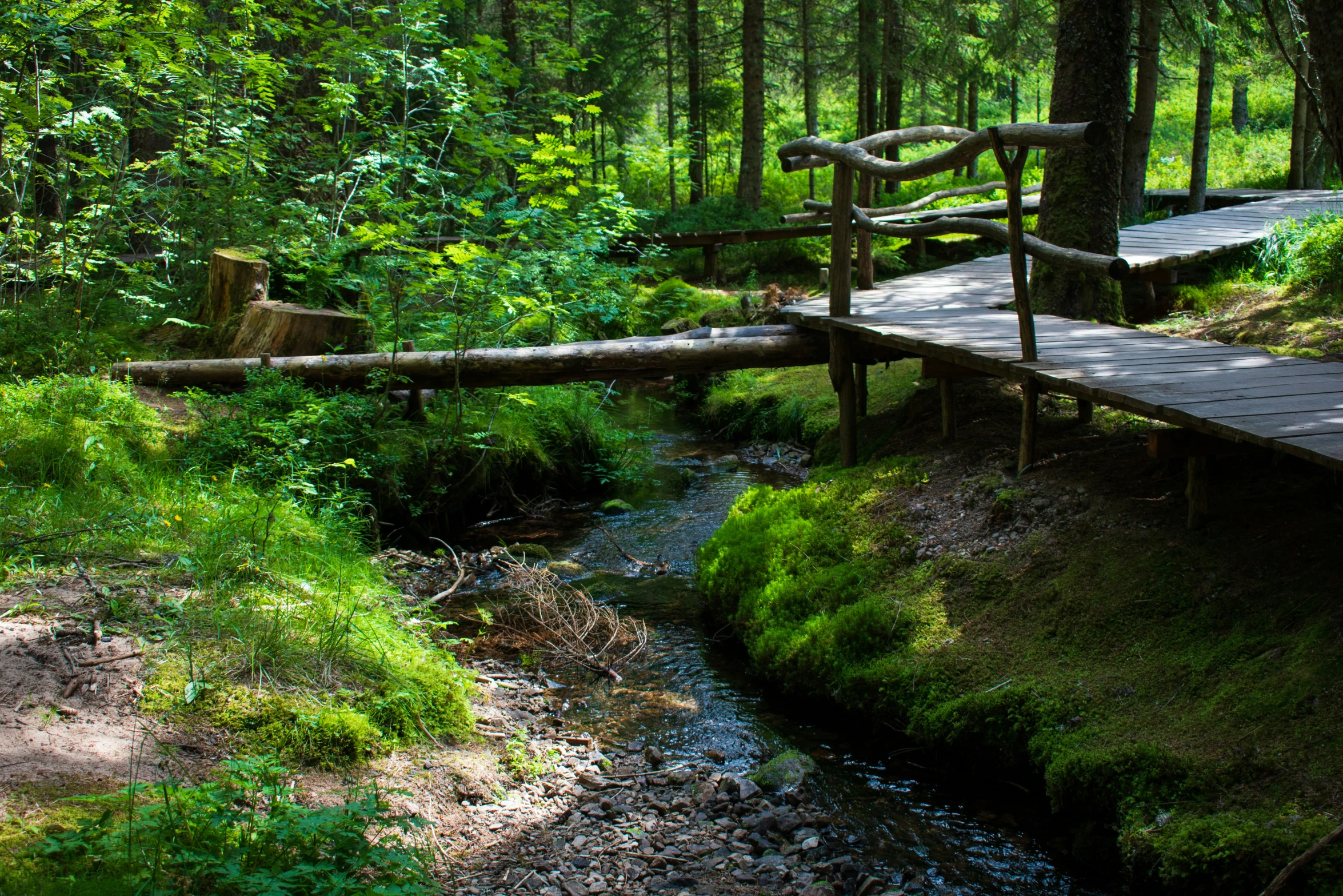 small wooden bridge spanning an ancient creek in the forest